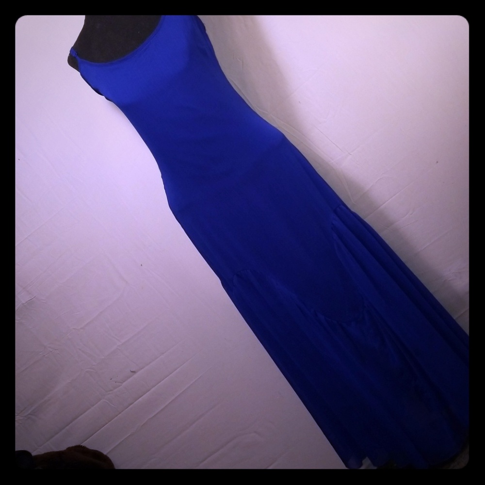 Heart Soul Blue sheer dress with slip.